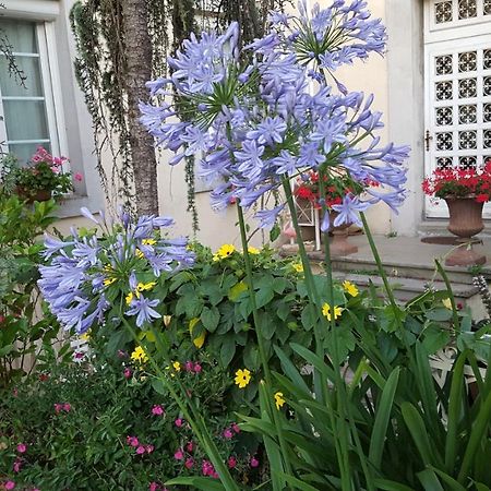 La Belle Vie B&B Montréal 外观 照片
