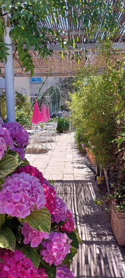 La Belle Vie B&B Montréal 外观 照片
